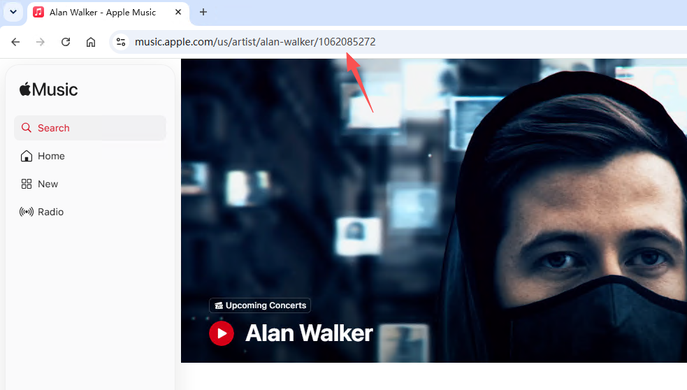 Example Apple Music artist ID location