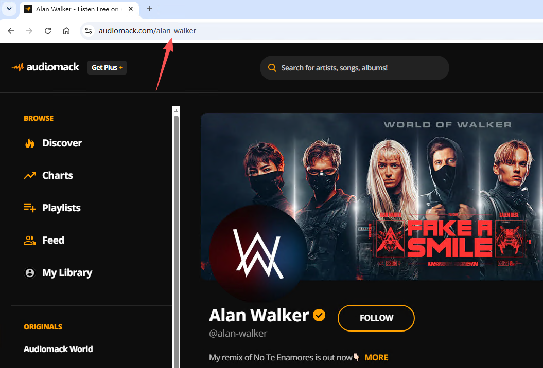 Example Audiomack artist ID location