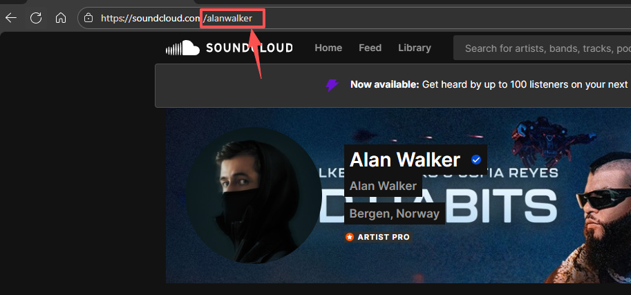 Example SoundCloud artist ID location