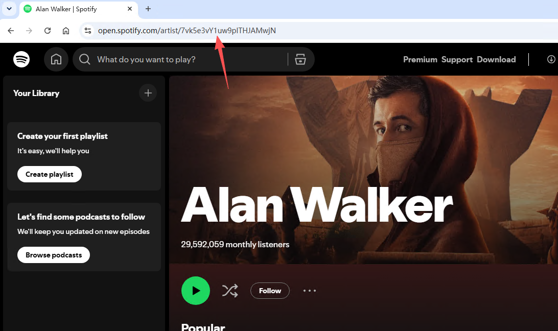 Example Spotify artist ID location
